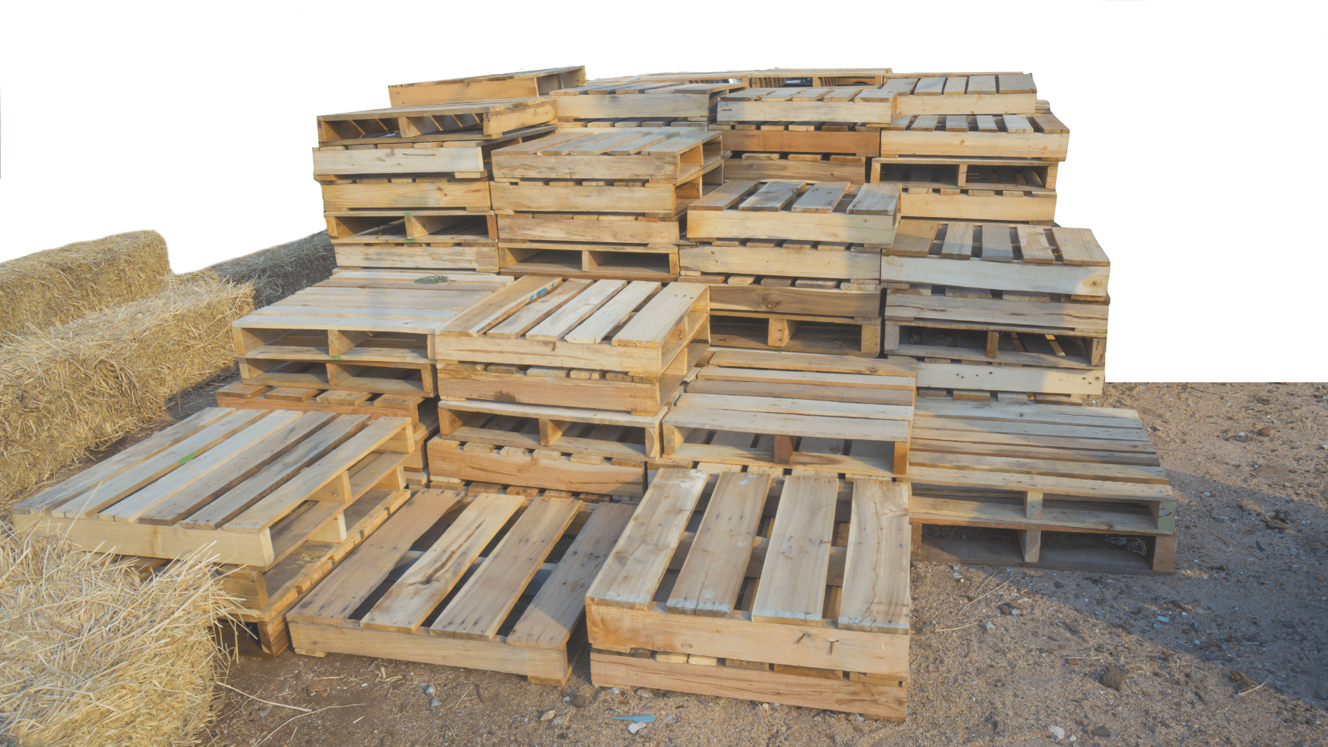 Home MM Quality Pallet Ltd in Surrey